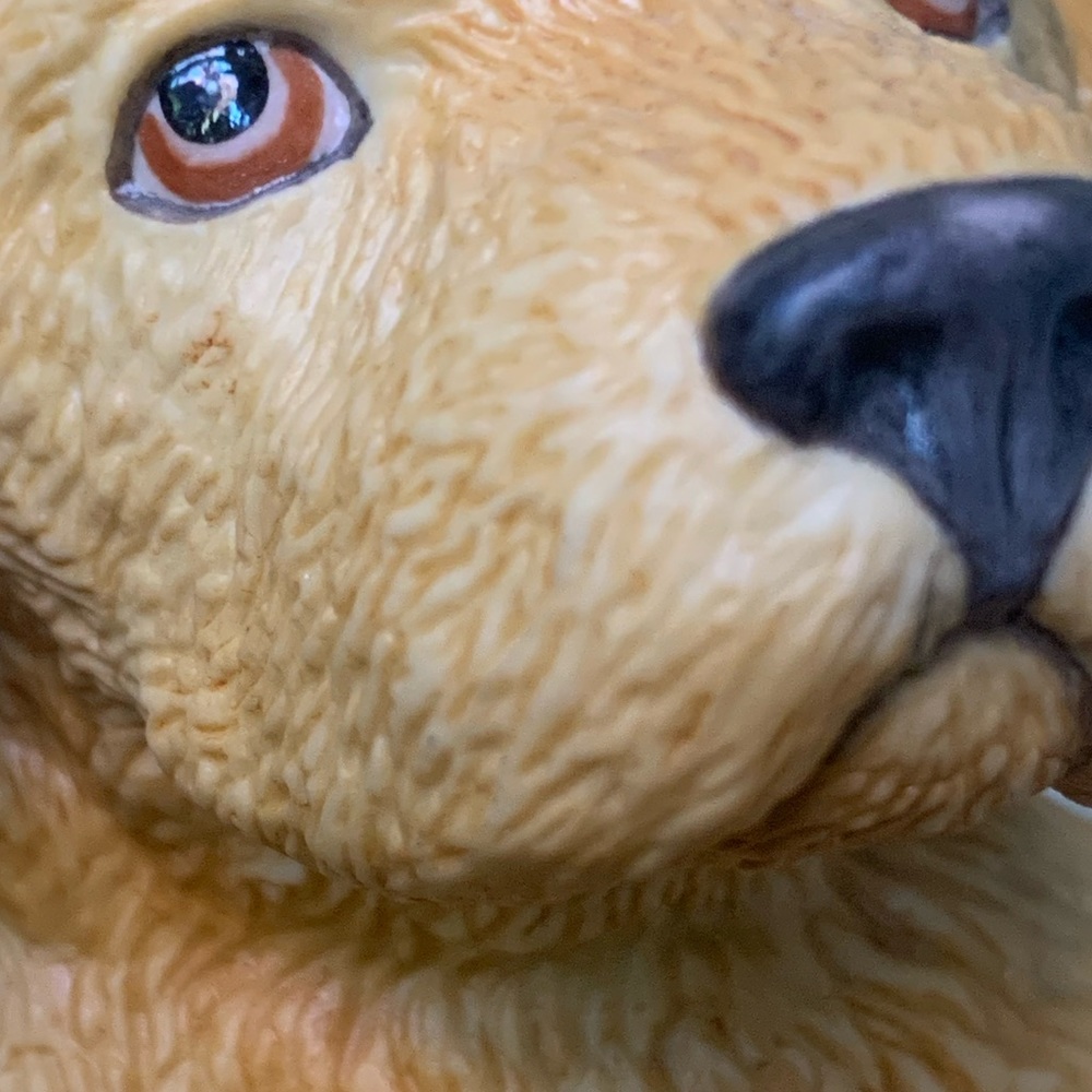 Lenox Yellow Labrador Retriever - Picture 13 of 14
